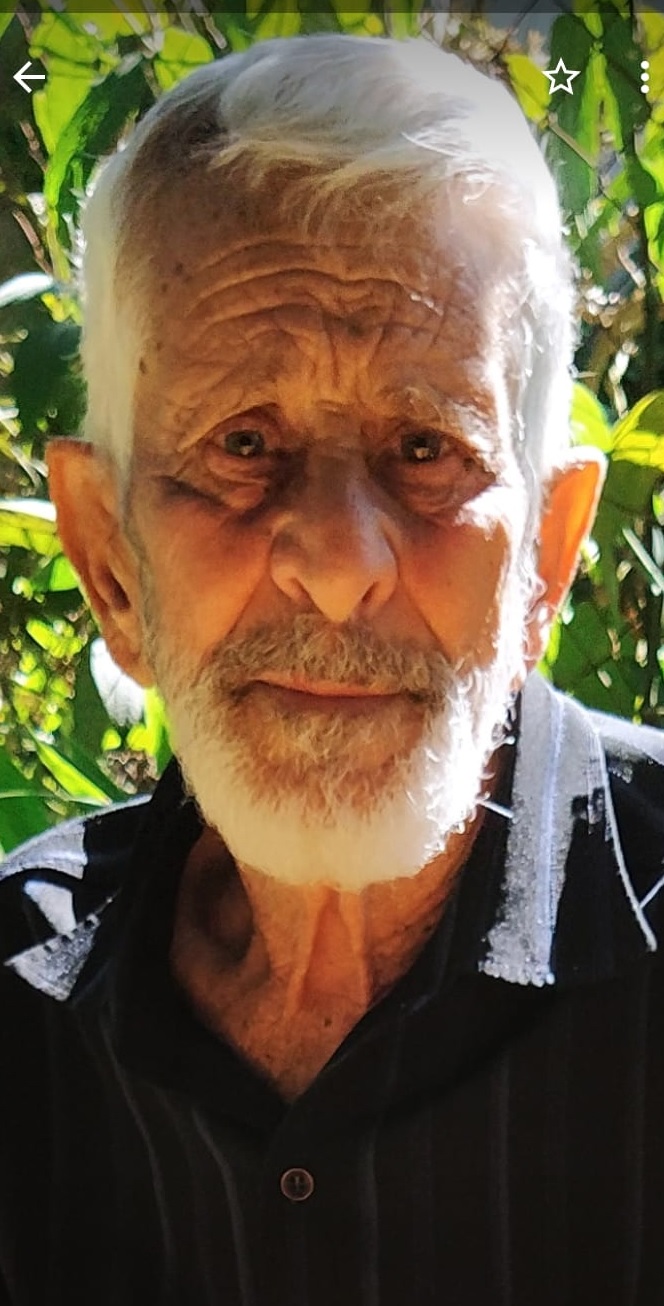 NELSON PALERMO RIBEIRO